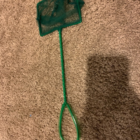 Aquarium - Picture 8 of 8